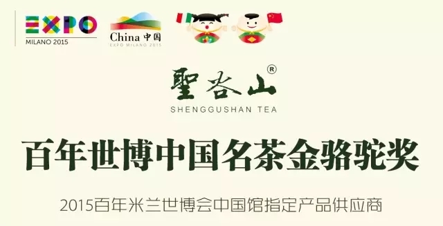 一杯茶的世界通行证