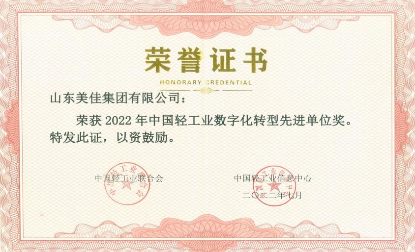 喜报---集团荣获 “2022年中国轻工业数字化转型先进单位”