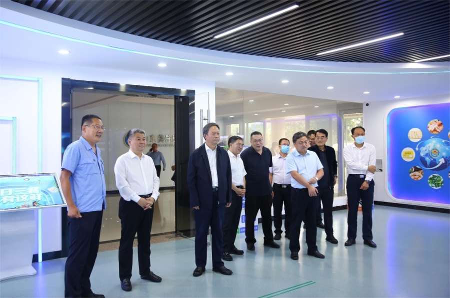 黔江区委书记徐江率党政代表团莅临美佳集团调研指导