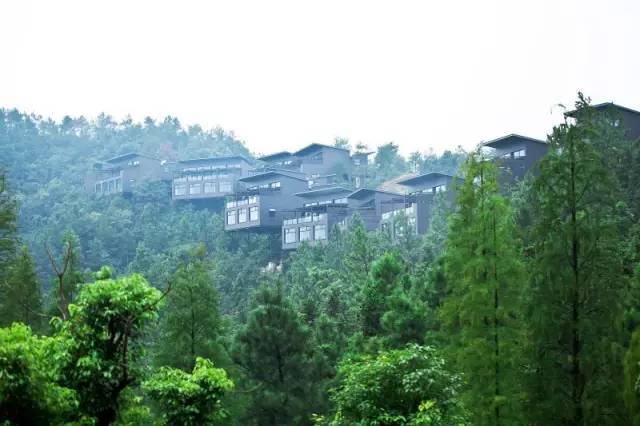 莫干山民居民宿案列赏析
