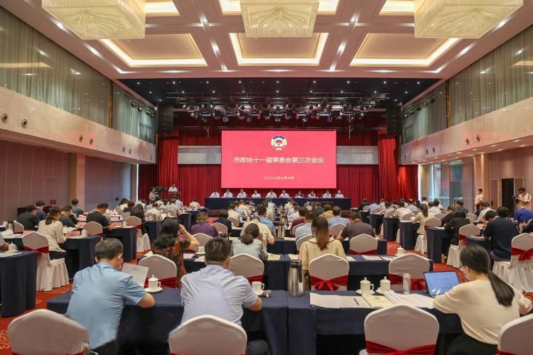 尹强董事长参加市政协十一届常委会第三次会议