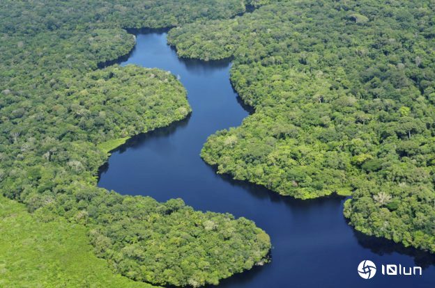 开路会加剧森林砍伐，巴西法官否决重建雨林高速公路