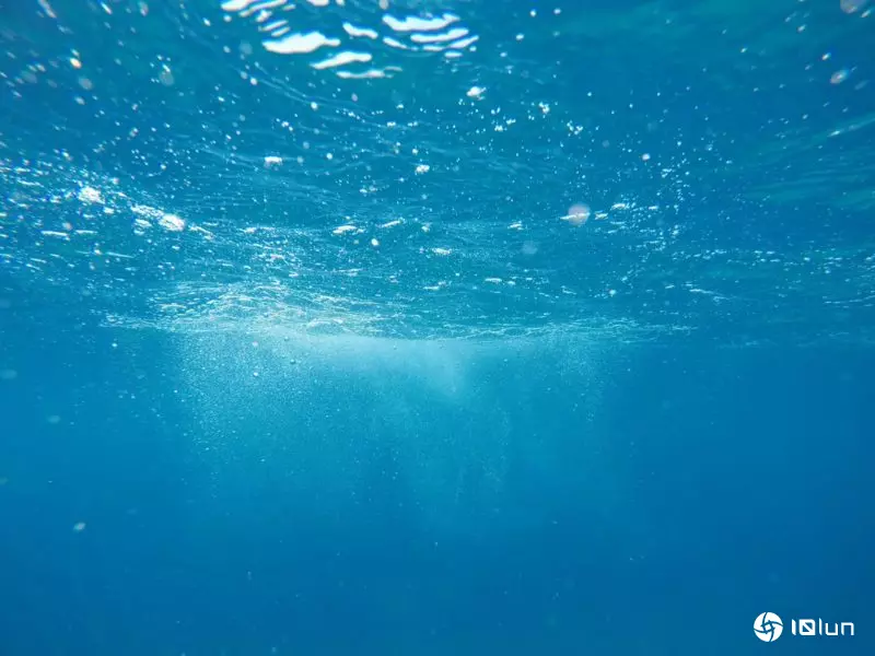 英国海域温度飙升4°C，生态链恐受冲击