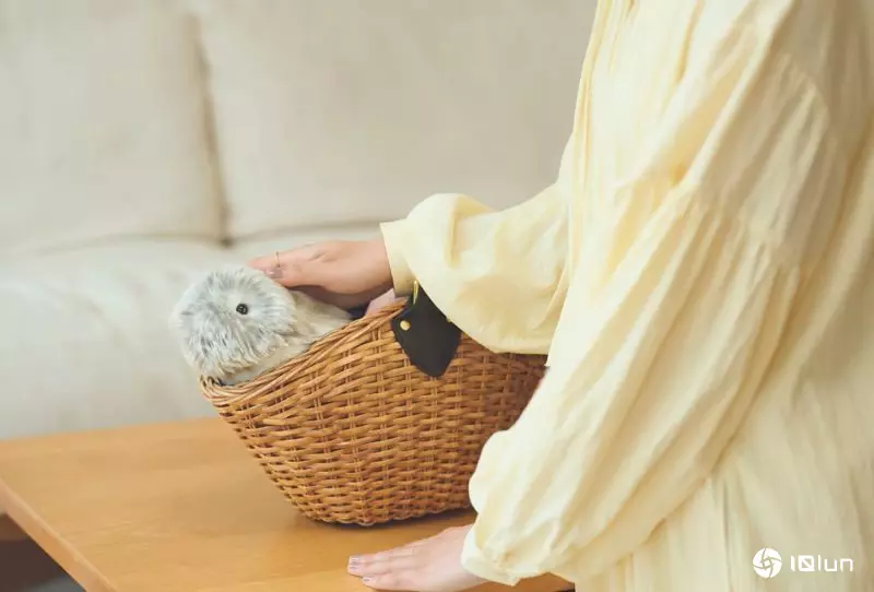 卡西欧毛茸茸AI宠物“Moflin”日本大卖，10月进军欧美