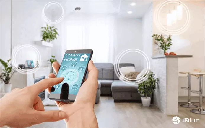 调查：植物或令WiFi速度减慢40%专家建议调整路由器摆放位置