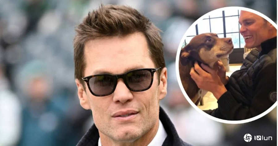 美国NFL球星自曝现在养的狗，是前一只过世爱犬的复制体