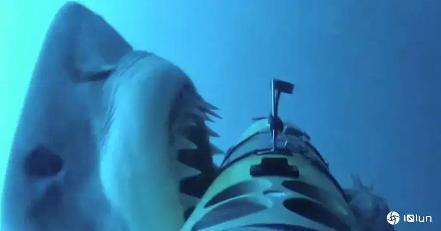 美制“光鱼”无人艇惊传遭鲨鱼攻击！船身现黑人齿痕，专家披露鲨鱼攻击动机