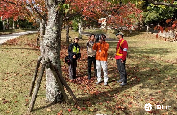 极端气候使树木伤人事件越见频繁，三井住友建设开发tree AI可评估树木风险