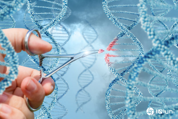 CRISPR改造免疫细胞，精准猎杀T细胞白血病