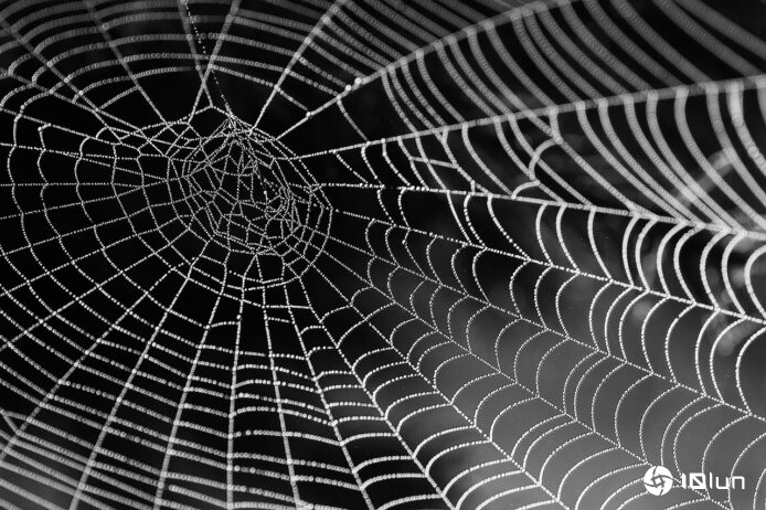 Google上诉控告网络爬虫公司SerpApi　指其绕过安全措施盗取搜索结果