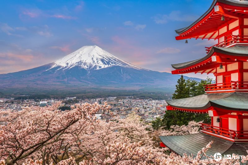 中台湾直达日本首都圈！星宇航空3/30开航台中─东京以Airbus A321执飞